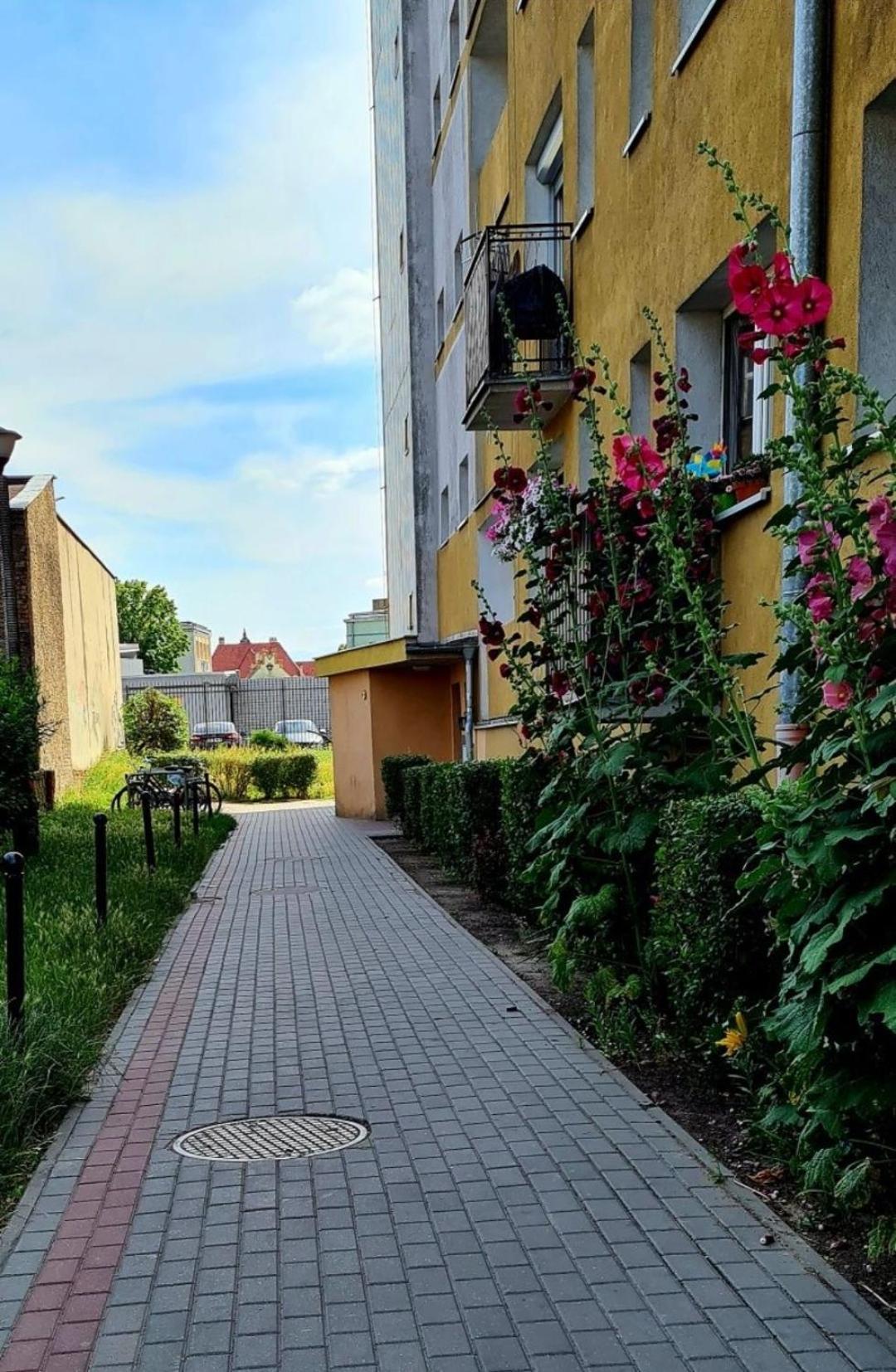Apartament Przy Alei Kopernika Inowrocław Eksteriør bilde